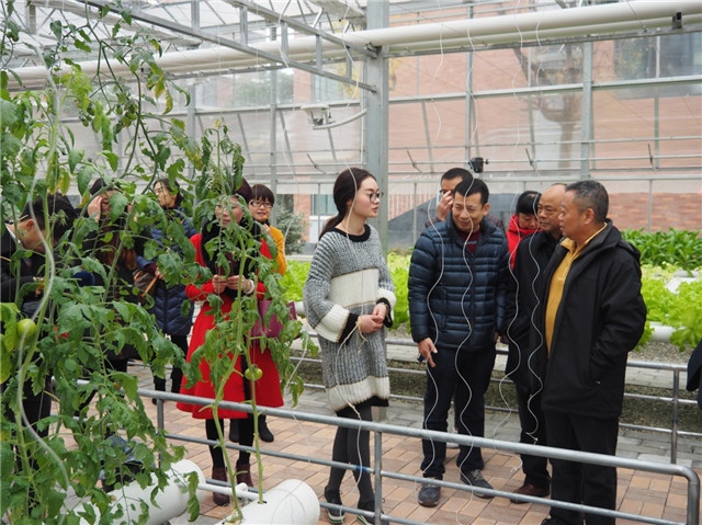 走進(jìn)東辰、多方共融、攜手共進(jìn)