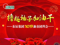 東辰集團2019新春團拜會網(wǎng)絡(luò)直播