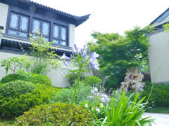 在春天的院子里，享受詩和遠(yuǎn)方