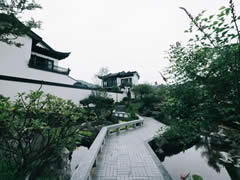 初夏的院子，打開夏日清涼的記憶