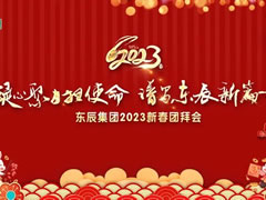 凝心聚力擔(dān)使命 譜寫東辰新篇章 | 東辰集團(tuán)2023新春團(tuán)拜會