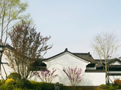 落雨煙花江南，邂逅仙海院子