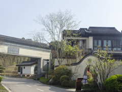 花開花落，不言不語，卻寫盡四季