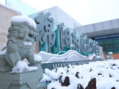 這里，粉妝玉砌，玉樹瓊枝，還有天真爛漫的東辰學(xué)子！