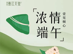 濃情端午 壹見傾心 | 壹江天璽邀您一起過端午